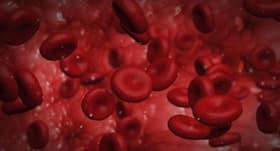 Thalassemia prevention and management: key considerations