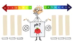 Google Doodle celebrates Danish chemist Sorensen who introduced pH scale