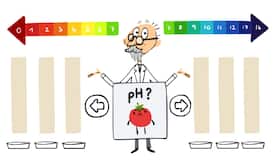 Google Doodle celebrates Danish chemist Sorensen who introduced pH scale Google Doodle celebrates Danish chemist Sorensen who introduced pH scale
