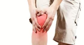 Elderly women: Probiotics can halve risk of bone loss Elderly women: Probiotics can halve risk of bone loss