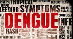 Dengue cases can be prevented by reducing global warming