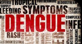 Dengue cases can be prevented by reducing global warming Dengue cases can be prevented by reducing global warming