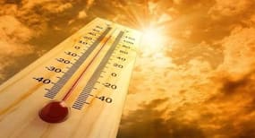 गर्मियों के मौसम में अक्सर होती हैं ये 5 बीमारियां, एक्सपर्ट से जानें बचने के उपाय