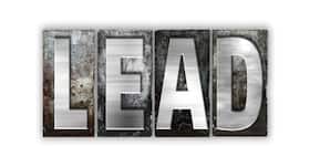 UN: 'Lead poisoning killing birds, humans too'