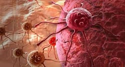 Highly lethal viruses hijack cellular defences against cancer