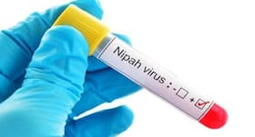 Nipah virus scare in India: several states investigating suspicious cases and issuing advisories on Kerala travel