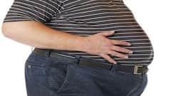 Obesity alone does not up death risk, says study