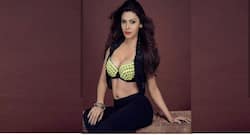 Sherlyn Chopra's diet is the key to her fit figure