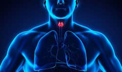 Hypothyroidism diet: nutritionist-recommended tips for thyroid disease