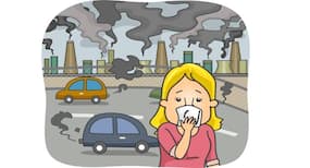 Rising air pollution levels harm city dwellers