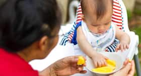 Baby Care Tip #56 – Be careful while feeding mango to your baby for the first time