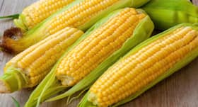 These beauty benefits of corn will impress you