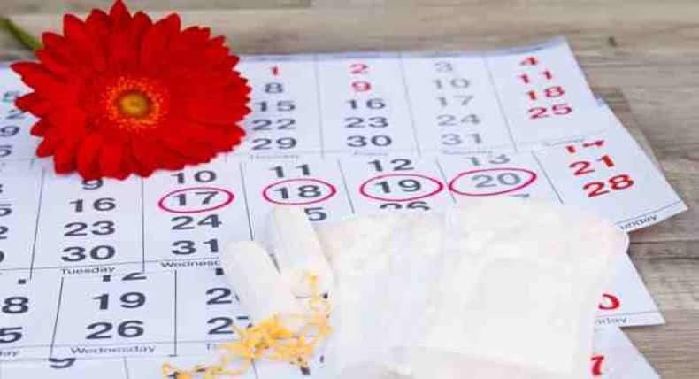 Date Benefits : सर्दी के मौसम में जरूर खाएं छुहारा, कई फायदों से है भरपूर