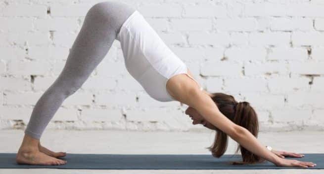 downward facing dog pose