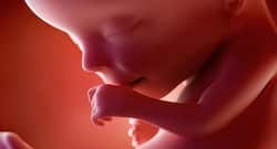 Effective sensor can measure an unborn baby's heartbeat