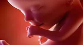 Effective sensor can measure an unborn baby's heartbeat