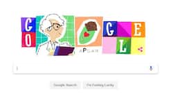 Google pays tribute to Dr Virginia Apgar