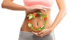 This is how gut bacteria helps to boost immunity, improve longevity and overall health