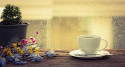 Monsoon: What you should avoid eating if you have diabetes?