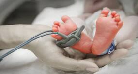 Everything you need to know about human neonatal care