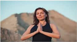 International Yoga Day 2019: 4 asanas to perform for a healthy mind