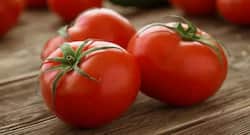 क्या किडनी स्टोन होने पर टमाटर खाने से परहेज करना चाहिए?