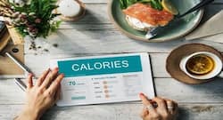 All your queries about calories answered