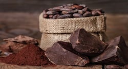 Cocoa can keep the heart healthy, claims study