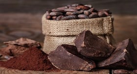 5 reasons why cocoa needs to be in your diet plan