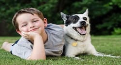 Taking care of your pets can help you stay healthy during monsoon