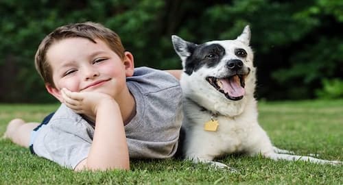 can a dog help a child with adhd