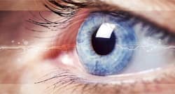 Did you know? Lutemax protects the eyes