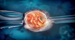 Mild IVF: A safer option for 37+ older women or who have low ovarian reserve