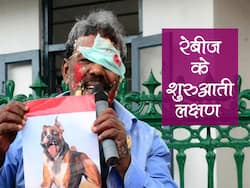 पालतू जानवर के काटने से भी हो सकता है रेबीज? जानें शुरुआती लक्षण और बचाव के आसान उपाय