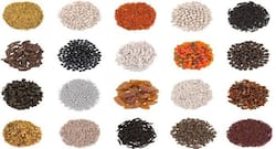 Easy fix for a bad breath