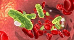 IIT researchers identify new function of protein that may treat sepsis