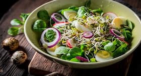 Meet Dr. Sprouts for better digestion, anaemia and more