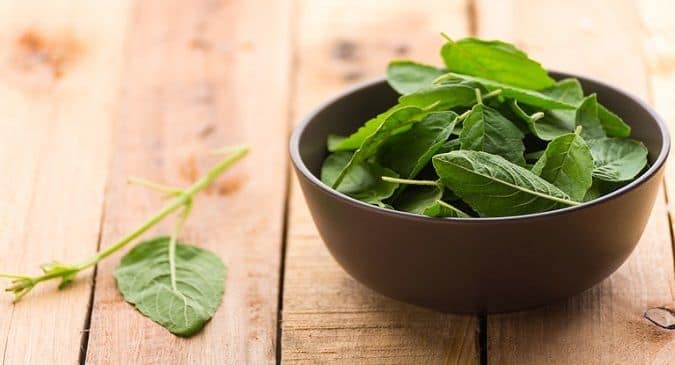 8 astonishing health perks of holy basil TheHealthSite