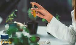Your first visit to a naturopath: What should you expect?