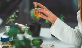 Your first visit to a naturopath: What should you expect?
