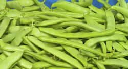 Did you know that flat beans can be good for your heart?