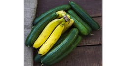Soothing salad for a troubled tummy