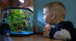 One-year-old gulps live fish, gets treated