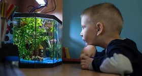 One-year-old gulps live fish, gets treated