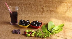 स्‍वाद में ही नहीं, गुणों में भी लाजवाब है जामुन