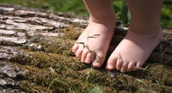 'Staying barefoot may improve children's motor skills,' says study