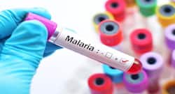 This new type of bed net can help prevent malaria