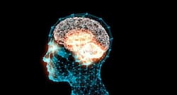 рдпрд╛рджрджрд╛рд╢реНрдд рд░рд╣реЗрдЧреА рддреЗрдЬ-рдЕрдкрдирд╛рдПрдВ рдкрд╛рдВрдЪ рд╣реЗрд▓реНрджреА рдЯрд┐рдкреНрд╕