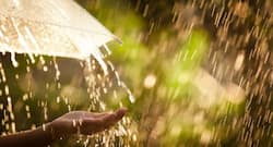 मानसून के दौरान लेप्टोस्पायरोसिस बीमारी के फैलने का खतरा