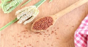 पोषक तत्वों से भरपूर रागी सेहत के लिए कैसे है फायदेमंद, जानिए